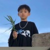 avatar-img