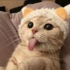 avatar-img