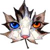 avatar-img