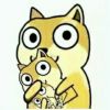 avatar-img