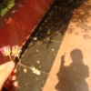 avatar-img