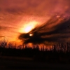 avatar-img