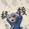 avatar-img