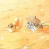 avatar-img