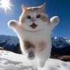 avatar-img