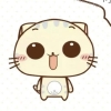 avatar-img