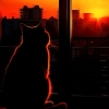 avatar-img