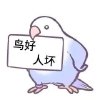 avatar-img