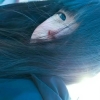 avatar-img
