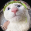 avatar-img