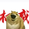 avatar-img