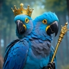 avatar-img