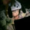 avatar-img