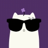 avatar-img
