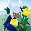 avatar-img
