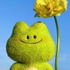 avatar-img