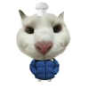 avatar-img