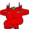 avatar-img
