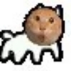 avatar-img