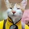 avatar-img