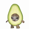 avatar-img