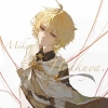 avatar-img