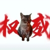 avatar-img