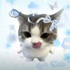 avatar-img