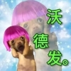 avatar-img