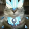 avatar-img