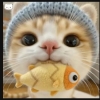 avatar-img