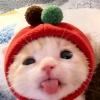 avatar-img