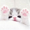 avatar-img
