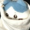 avatar-img