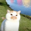 avatar-img