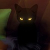 avatar-img