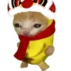 avatar-img