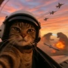 avatar-img