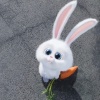 avatar-img