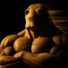 avatar-img