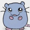 avatar-img