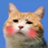 avatar-img