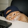 avatar-img