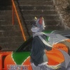 avatar-img