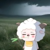 avatar-img