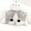 avatar-img