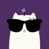 avatar-img