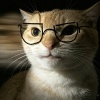 avatar-img