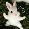 avatar-img