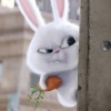 avatar-img